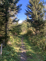 ØyvindBergkvam_20221109_636ba7f488459.jpg