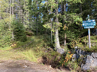 ØyvindBergkvam_20221109_636bb42b72d8e.jpg