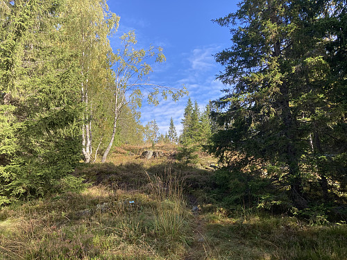 På vei opp mot toppen av Fuglemyrhøgda