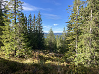 ØyvindBergkvam_20221109_636bb4316d887.jpg