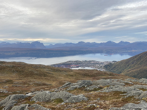 Utsikt til Narvik og Ofotfjorden fra toppen av Adjacohkka