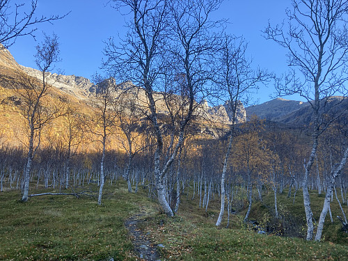 På vei oppover dalen på god sti