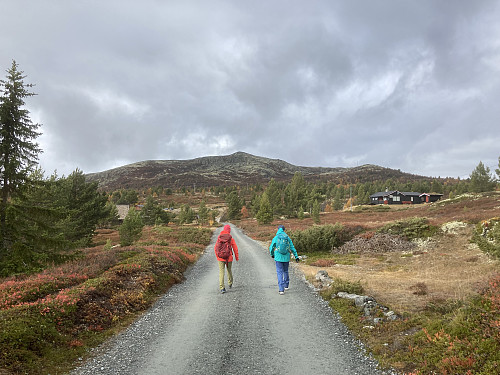 På vei fra hytta til Karihaugen (midt i bildet)