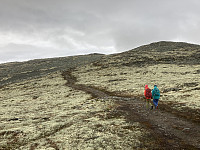 ØyvindBergkvam_20221111_636eb5dd99d3c.jpg