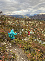 ØyvindBergkvam_20221111_636eb5e0a1a18.jpg