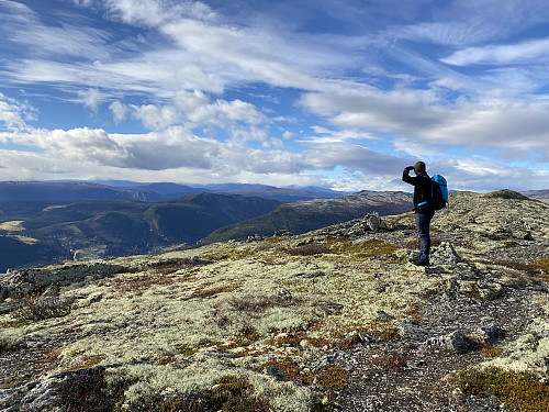Petter studerer utsikten fra sørtoppen til Hårrtjønnhøa