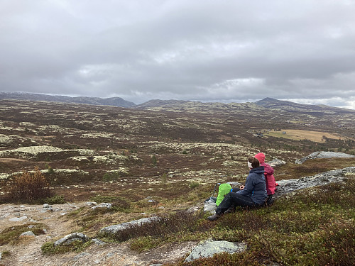 En liten stopp i lyngen, det er godt å komme seg ut!