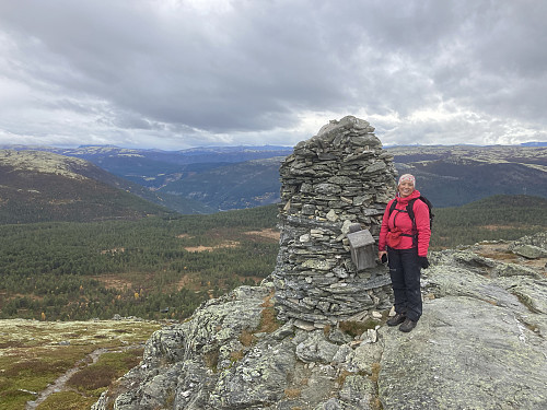 Vardhøe i Sel
