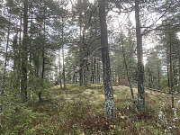 ØyvindBergkvam_20221116_6374a6159f2cc.jpg