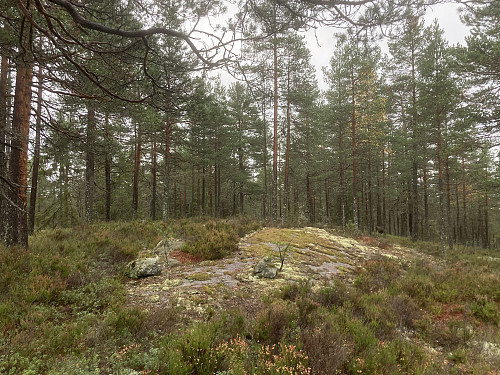Flaåsen 274 moh