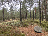 ØyvindBergkvam_20221116_6374a619d202d.jpg