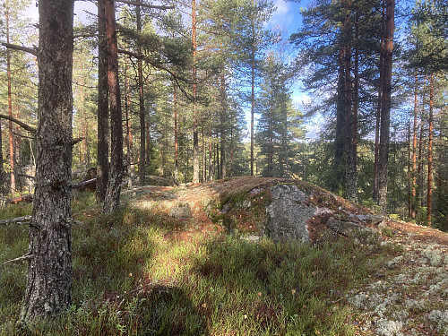 Eriksvannås 268 moh