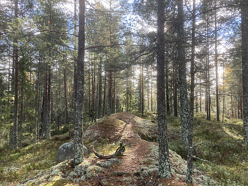 Eriksvannås 268 moh
