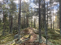 ØyvindBergkvam_20221116_6374a61e4a4b5.jpg