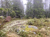 ØyvindBergkvam_20221116_6374c9b22ba1a.jpg