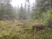 ØyvindBergkvam_20221116_6374c9bab7576.jpg