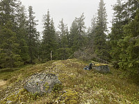 ØyvindBergkvam_20221116_6374c9be48770.jpg