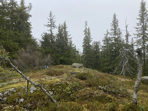 Korpehaugen i Hurdal
