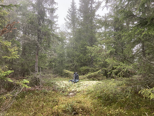 Kalvehaugen er en liten haug nord for Lundbergkollen