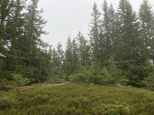 Lundbergkollen i Hurdal