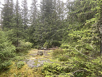 ØyvindBergkvam_20221116_6374c9cb9f060.jpg