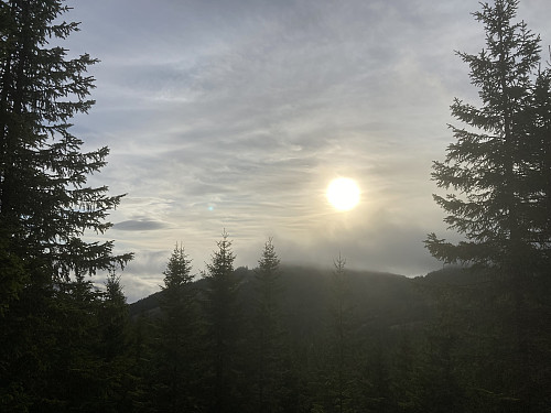 Tåka er i ferd med å lette over Liskollen