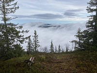 ØyvindBergkvam_20221116_6375034dc6123.jpg