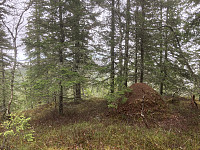 ØyvindBergkvam_20221116_6375034fadd5c.jpg