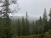 ØyvindBergkvam_20221116_637503511a1b5.jpg