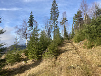ØyvindBergkvam_20221116_63750814c345f.jpg
