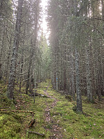 ØyvindBergkvam_20221116_637508162c6e2.jpg