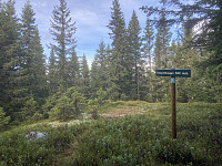 ØyvindBergkvam_20221116_63750817a51b2.jpg