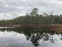 ØyvindBergkvam_20221118_63774cfde71c3.jpg