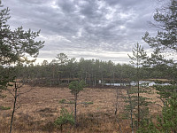 ØyvindBergkvam_20221118_63774cfee7afa.jpg