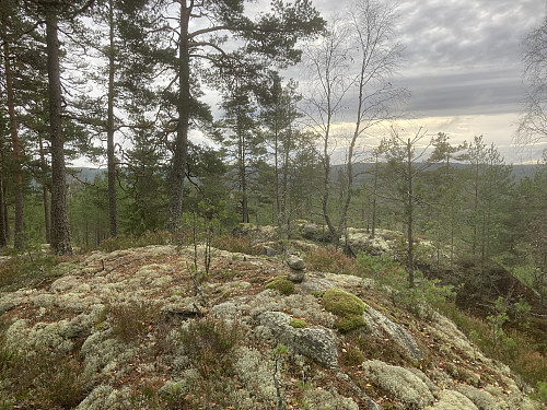 Spredt utsikt fra Rundtjennåsen i Lillestrøm 