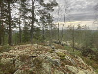 ØyvindBergkvam_20221118_63774d018f155.jpg
