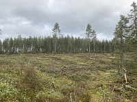 ØyvindBergkvam_20221118_6377863e81813.jpg