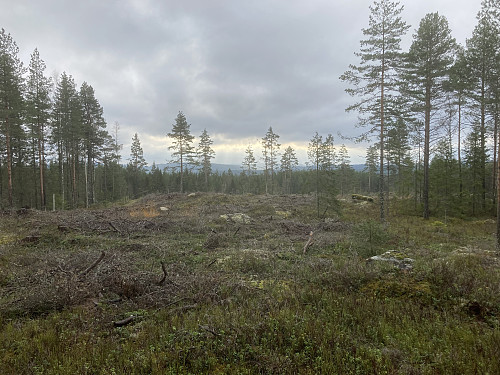 Utsyn sørover fra Klovehøgda