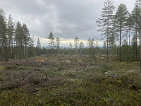 ØyvindBergkvam_20221118_6377863ff1295.jpg