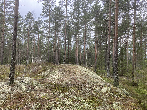 Klovehøgda i Lillestrøm