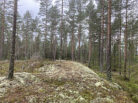ØyvindBergkvam_20221118_637786416a883.jpg
