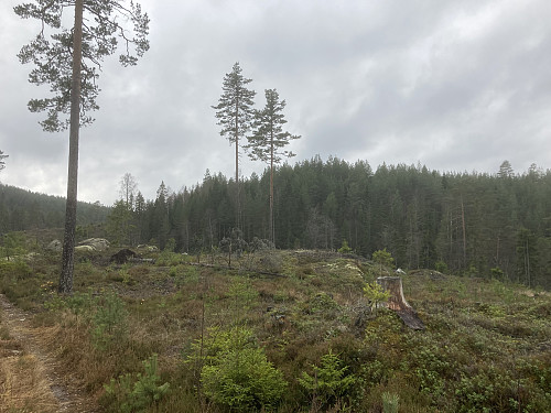 Stien tilbake mot bilen går over Trettåsen midt i bildet