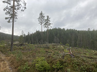 ØyvindBergkvam_20221118_6377864b058fd.jpg