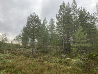 ØyvindBergkvam_20221118_6377864c0b136.jpg