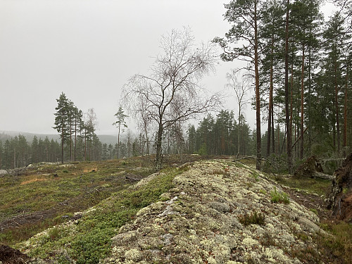 Trettåsen i Aurskog-Høland