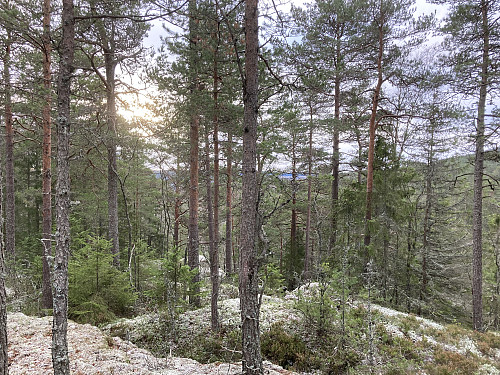 Noe utsikt fra Solliåsen