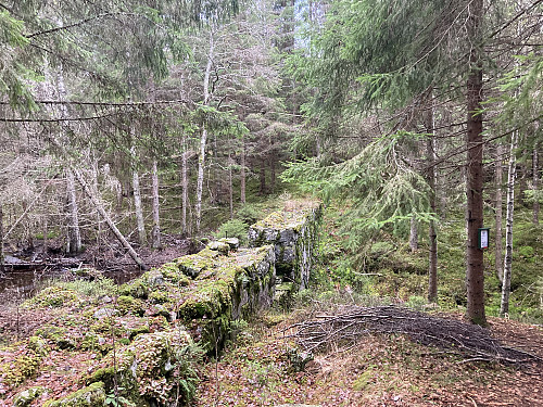 Dammen ved Høltjern