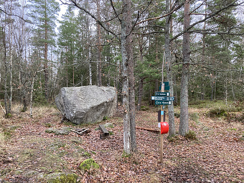 Bjørnåsen på Jeløya i Moss