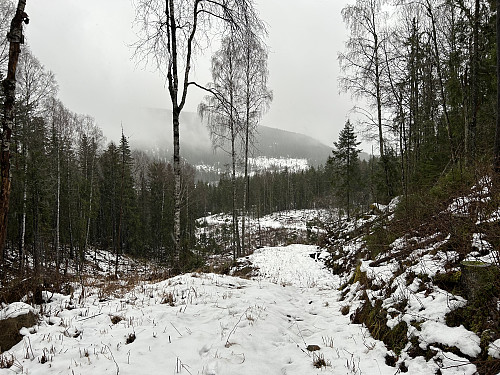 Tilbakeblikk mot stien jeg fulgte opp fra Stryken stasjon