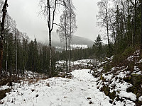 ØyvindBergkvam_20230113_63c12c88df358.jpg